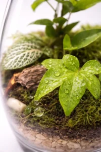 15 Terrarium Terms People Use Wrong