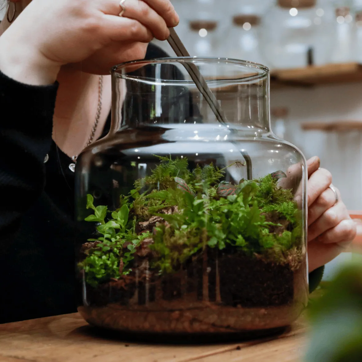 best terrarium soil substrate guide