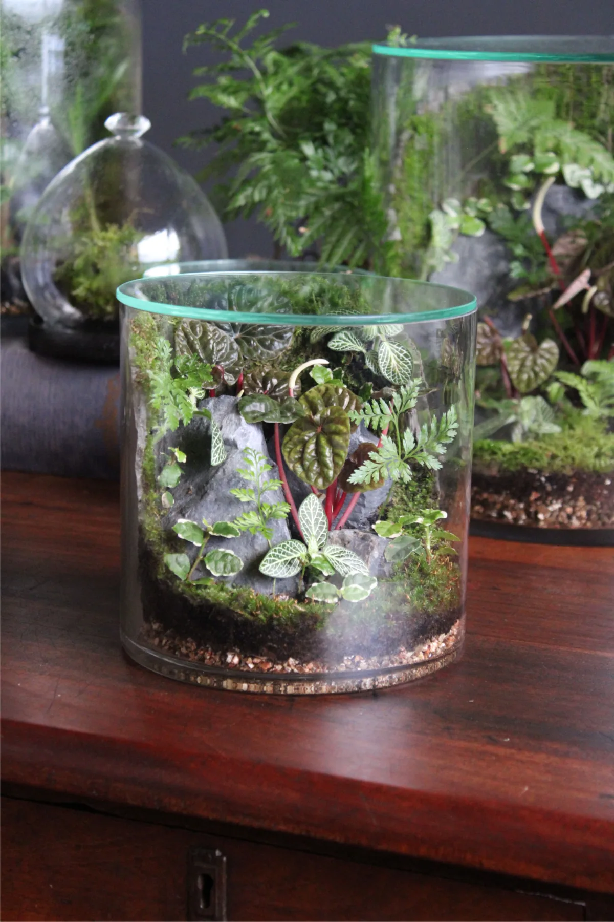closed terrarium vs open terrarium