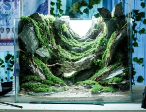 Contemporary Terrarium Design Trends (2020s)