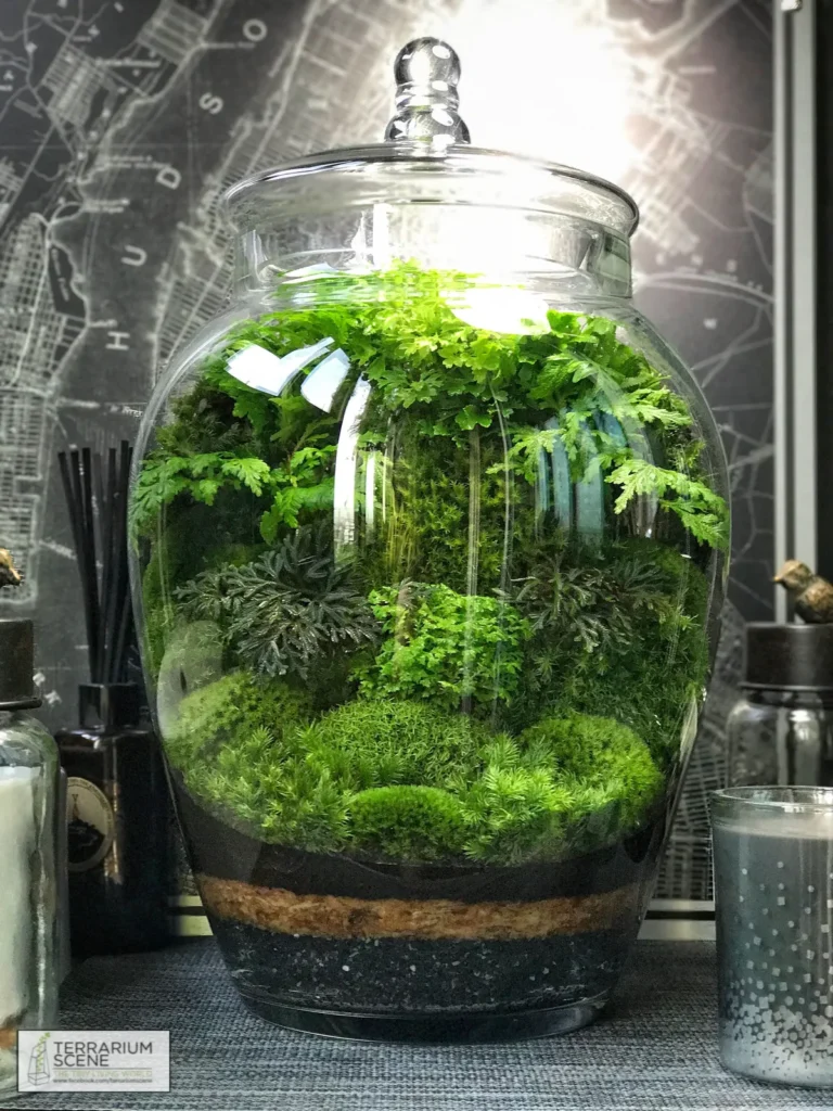 Day vs. Night Gas Dynamics in Terrariums