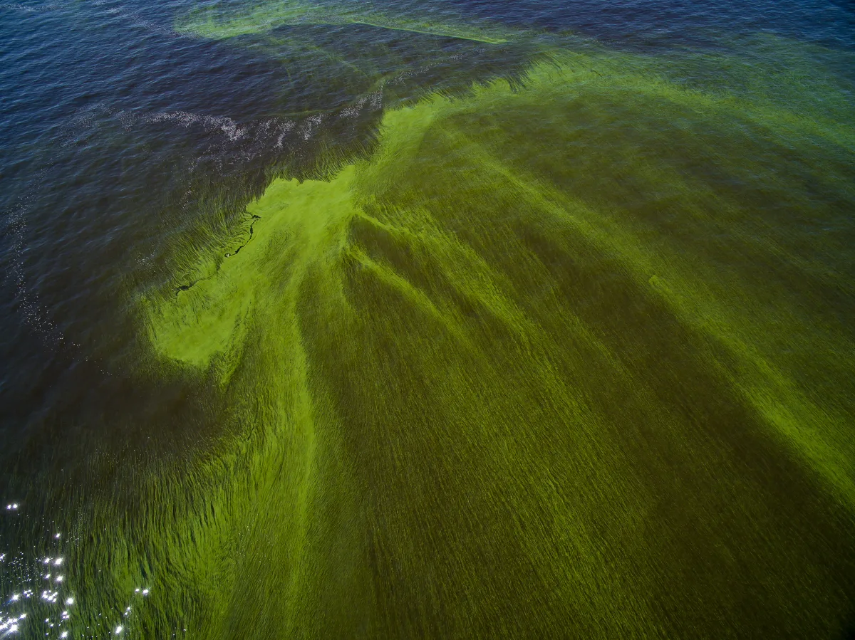 early warning signs ecosystem collapse