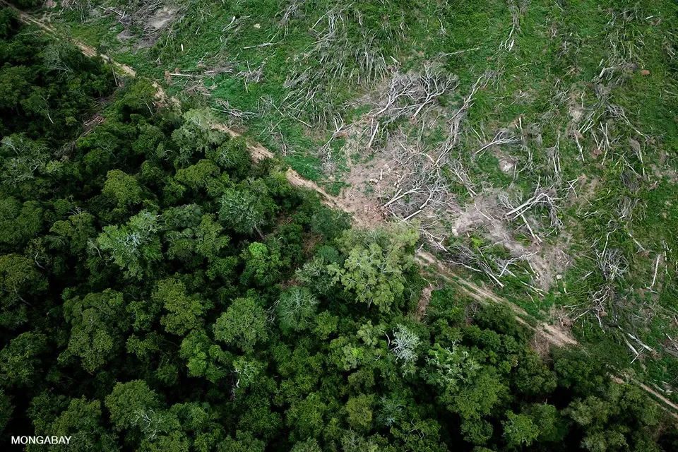 ecosystem collapse triggers