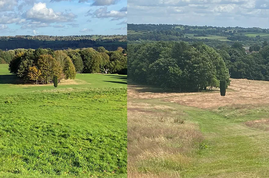 ecosystem recovery