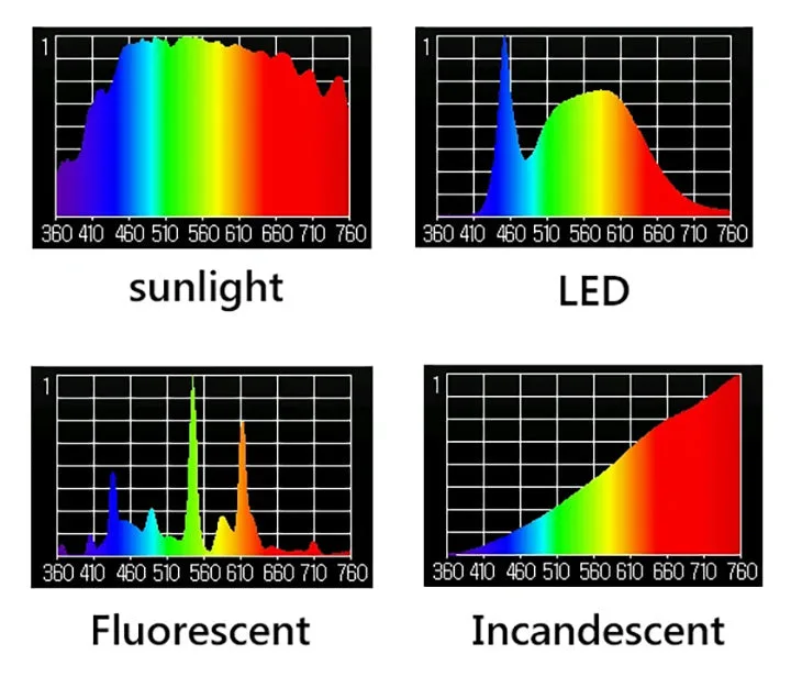 Full spectrum vs daylight bulb