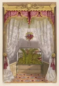 How Terrariums Were Invented to Transport Plants