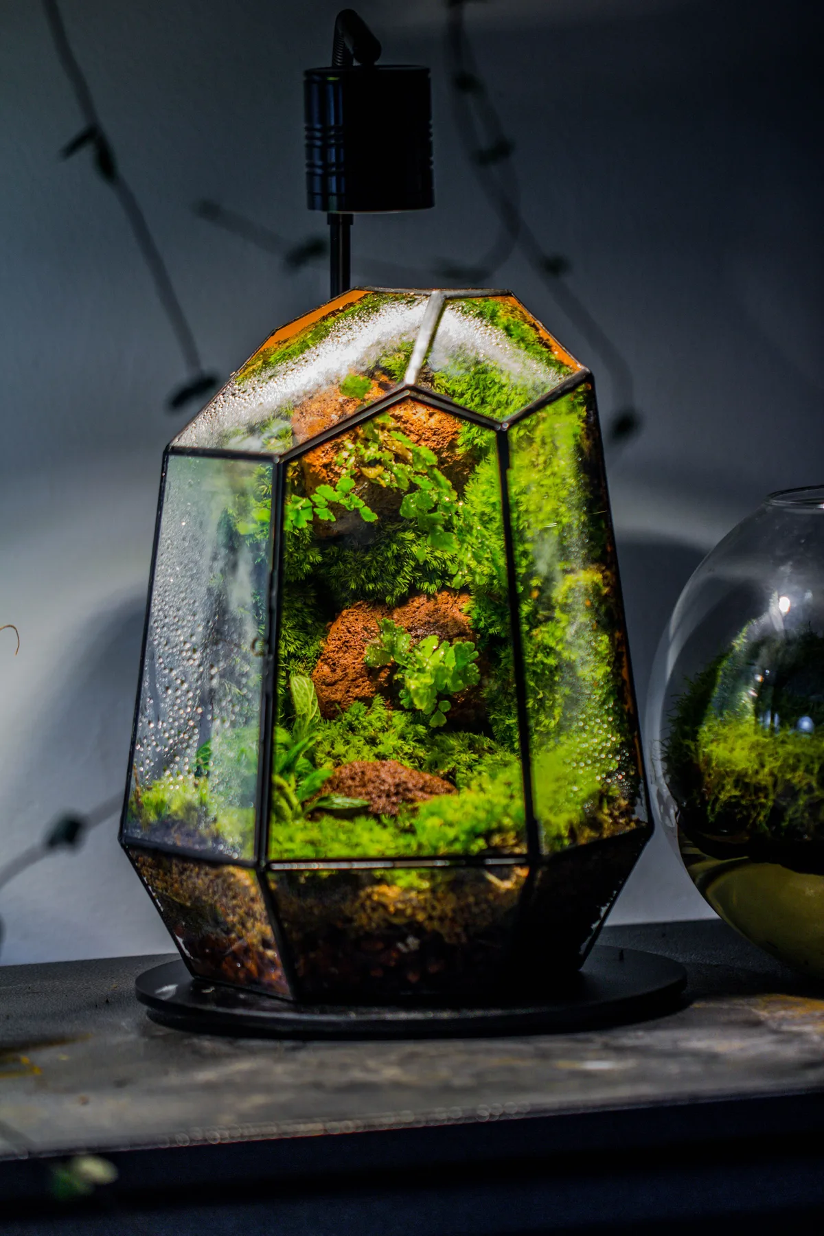 LED grow lights