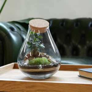 Microbial CO2 Production in Terrarium: The Hidden Contributors