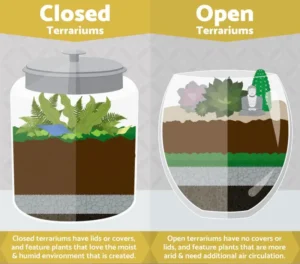 Microbial Mineralization in Terrarium: Turning Waste into Plant Food