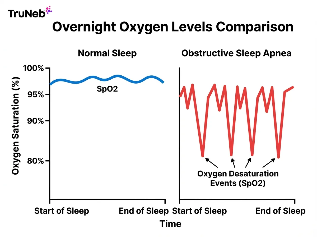 Nighttime Gas Exchange Graph