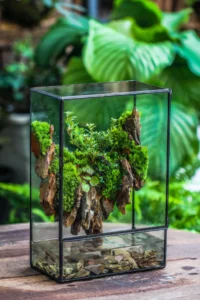 self-sustaining terrarium in glass jar