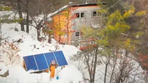 Self-Sustaining vs. Low-Maintenance: What’s the Difference?