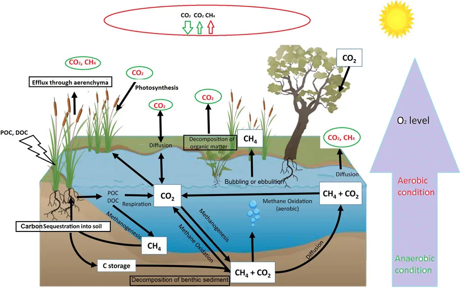 small ecosystems at risk