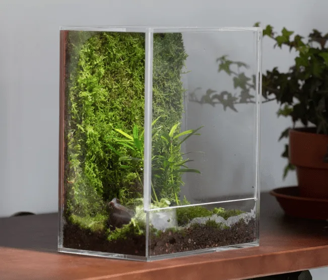 Terrarium container materials