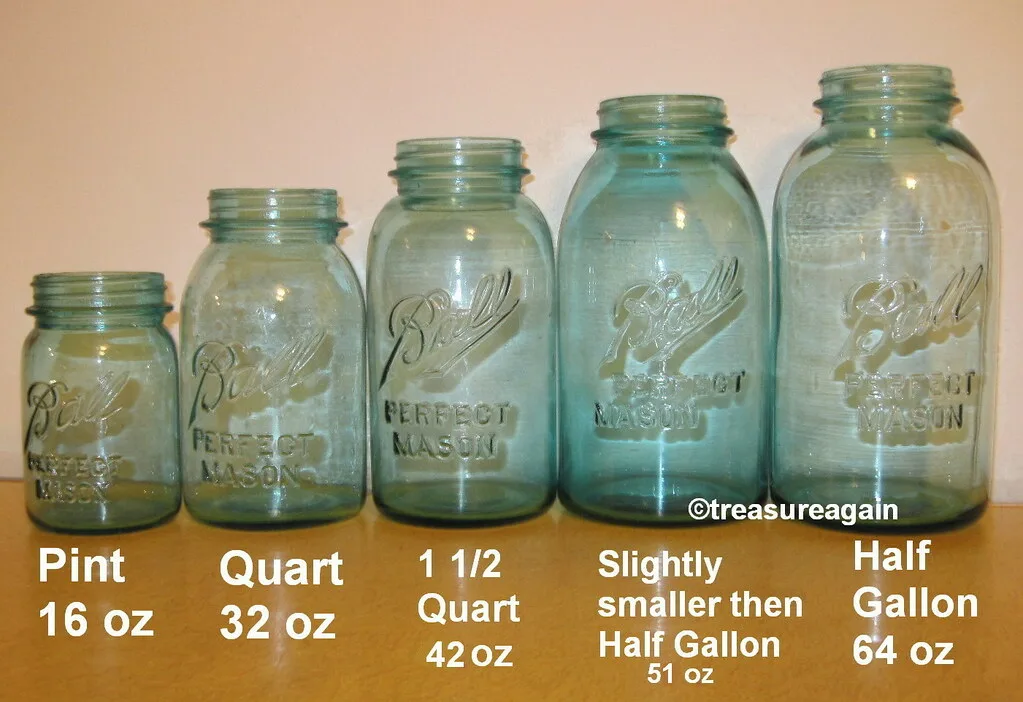 Terrarium container sizes