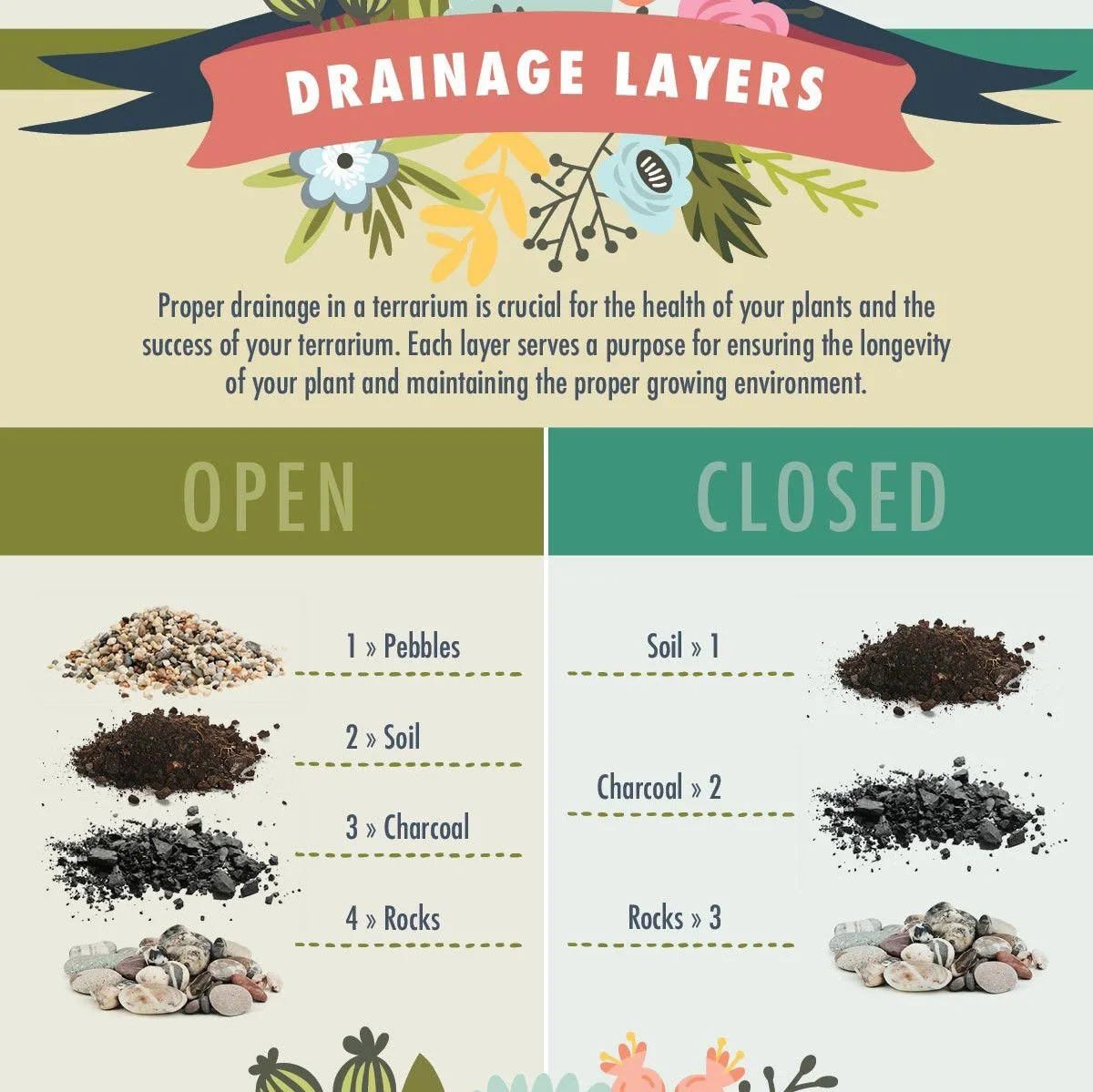 terrarium layers diagram