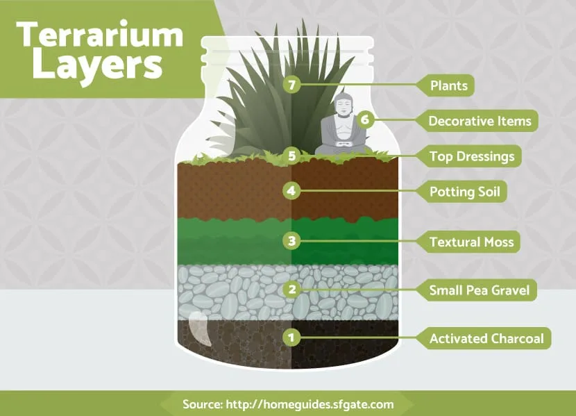 terrarium layers diagram