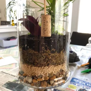 Terrarium Substrate Guide: What Soil to Use
