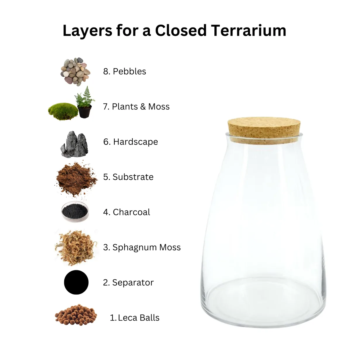Terrarium Substrate Layers