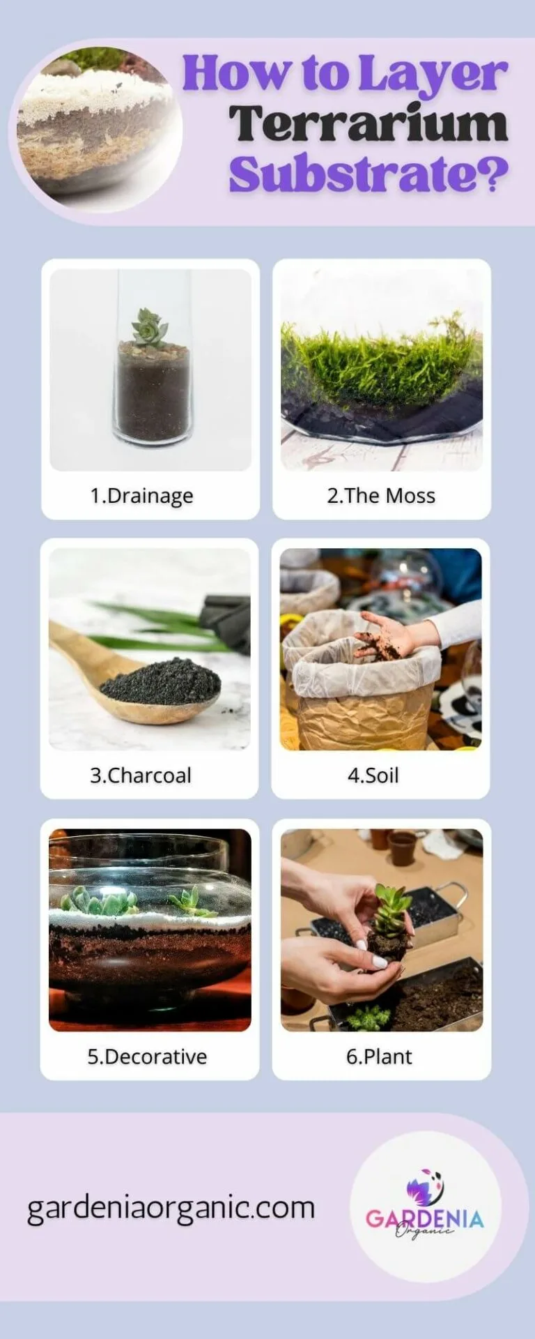 terrarium substrate layers