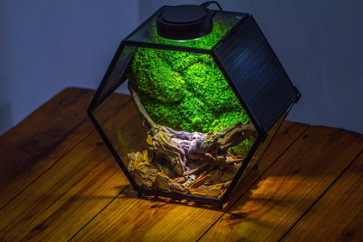 Terrarium ventilation methods