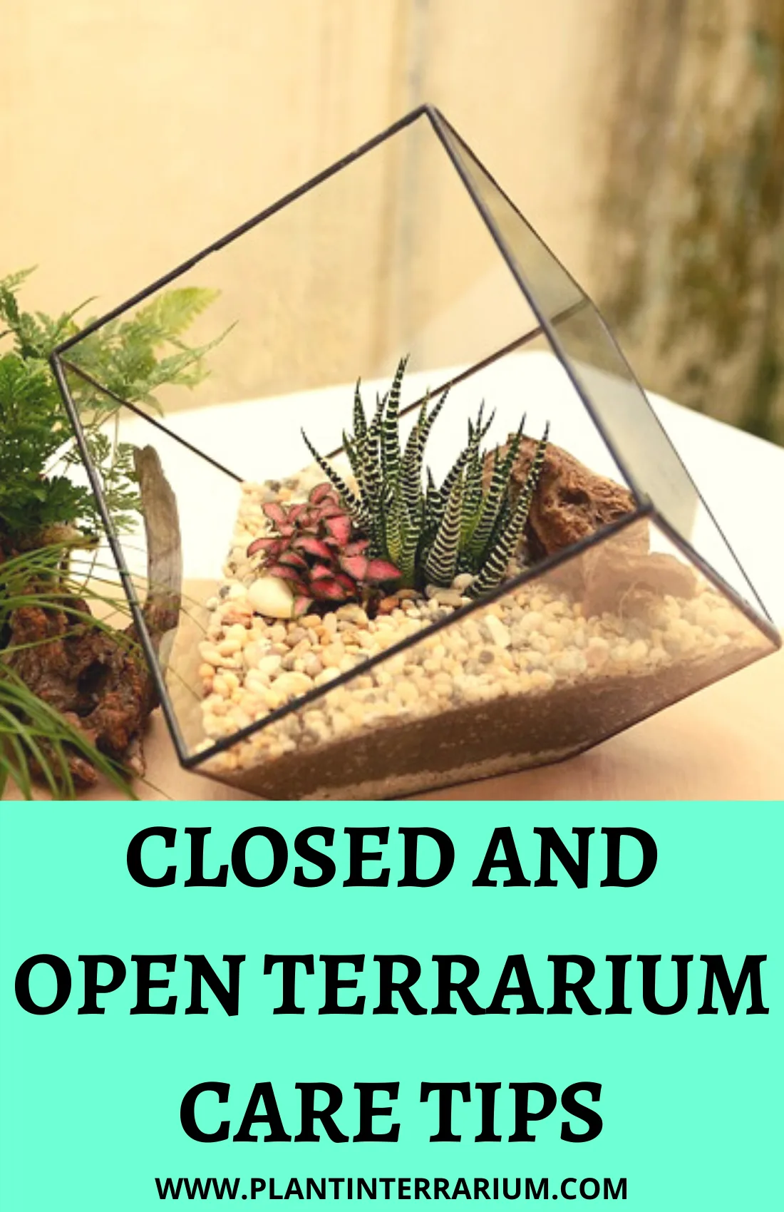 Terrarium ventilation options