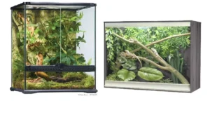 Terrarium vs. Vivarium vs. Paludarium Comparison