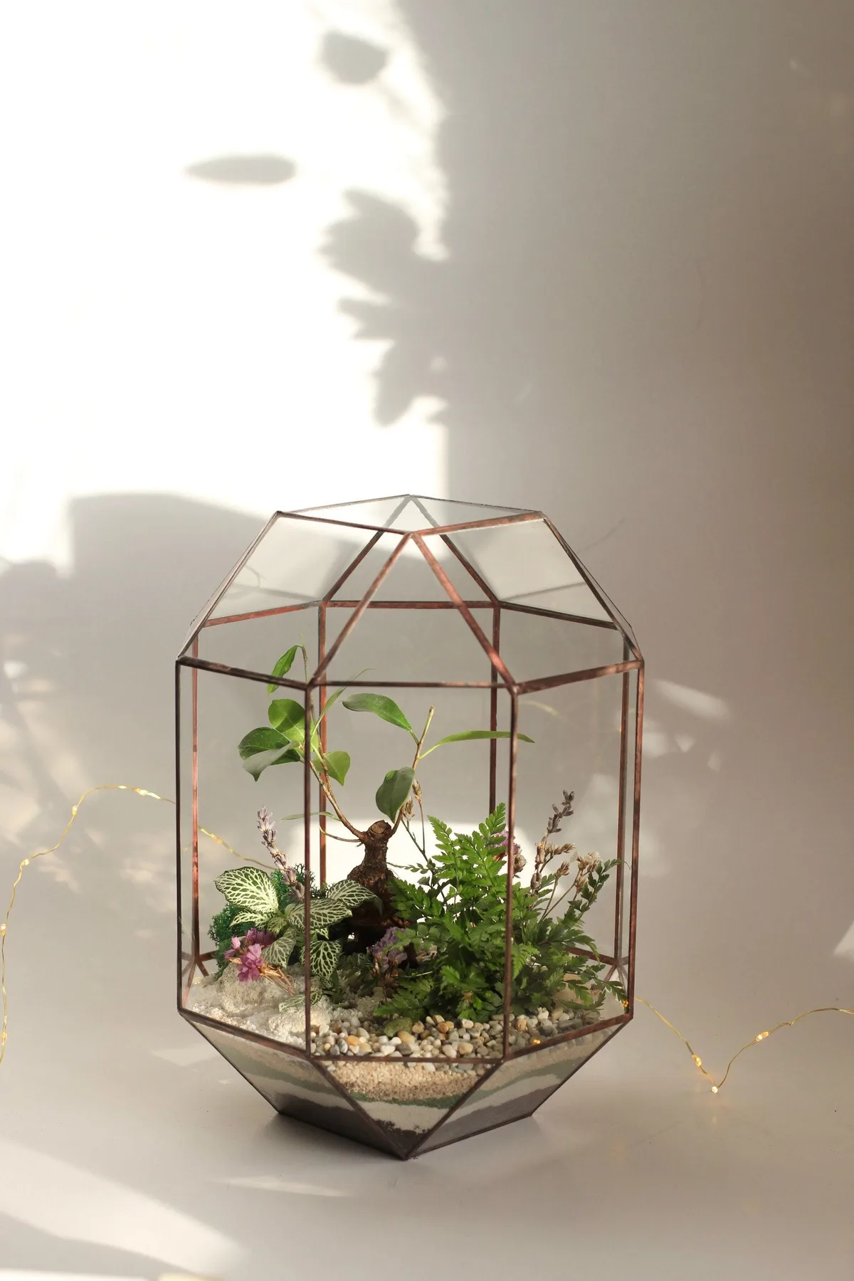 Terrariums as Home Decor: A Modern Guide