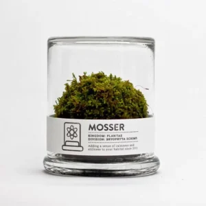 Terrariums for Scientific Observation