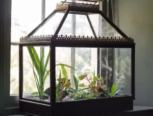 Timeline: 200 Years of Terrarium History
