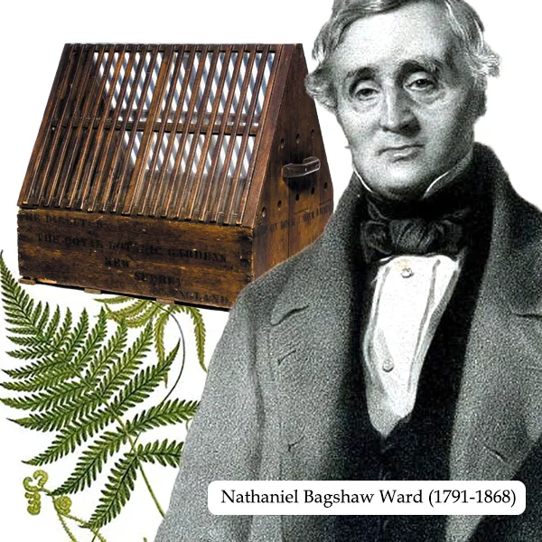 Wardian Case Invention
