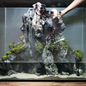 What is a Paludarium? Land Meets Water