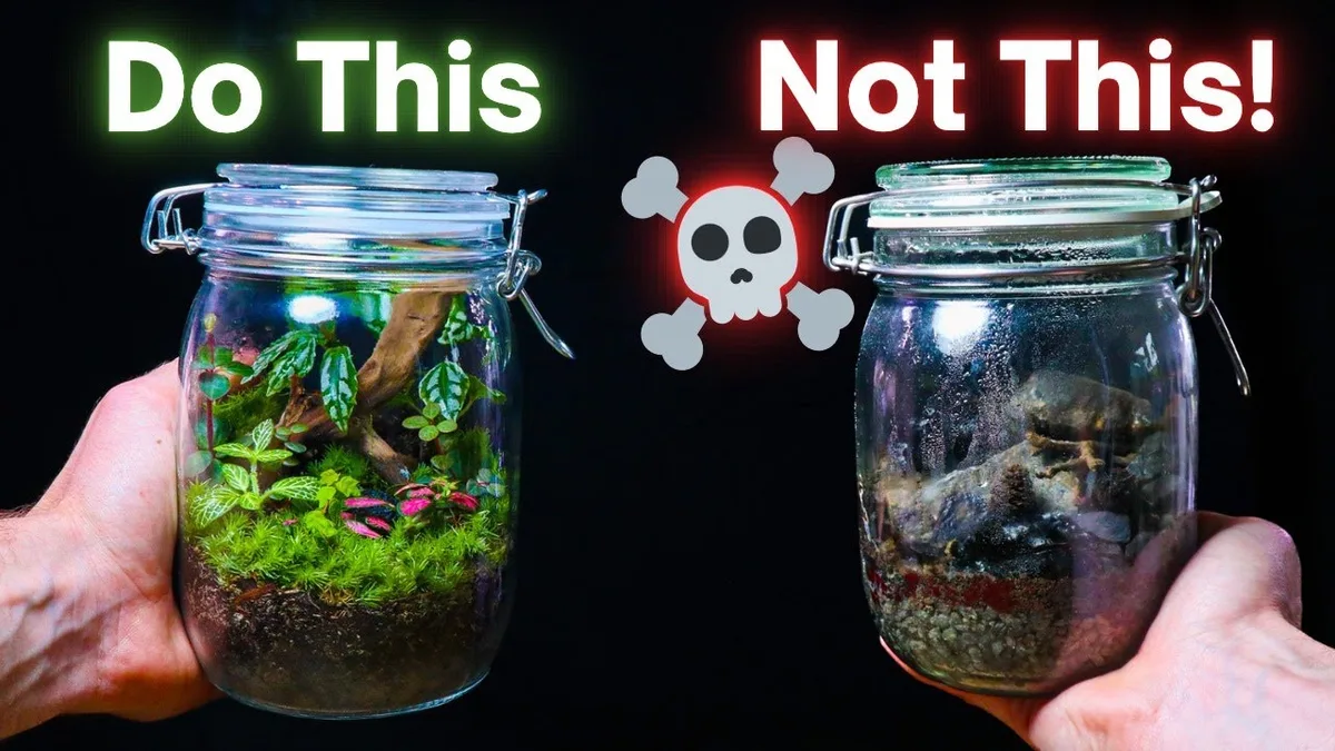 fixing terrarium anaerobic zone hand removing soil