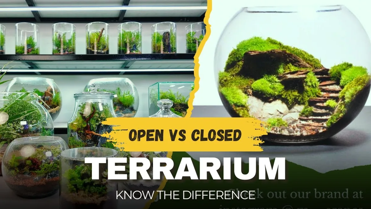 propped open terrarium lid wooden skewer