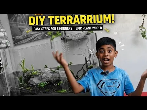 terrarium drainage layer gravel LECA vs compacted soil