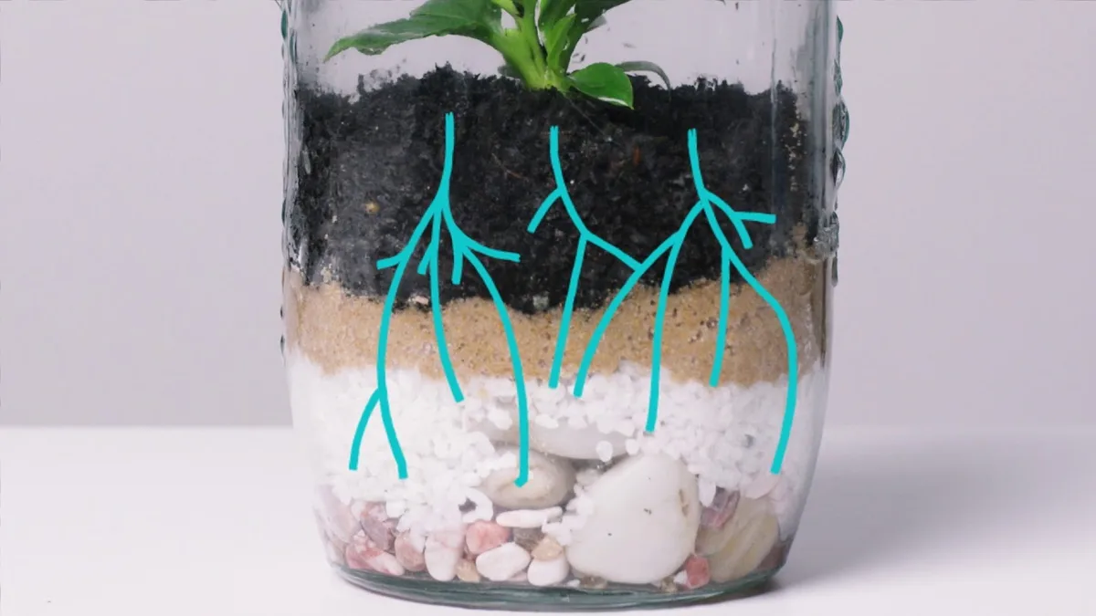 Terrarium humidity and gas cycle