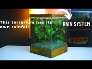 tiny steady droplets terrarium glass