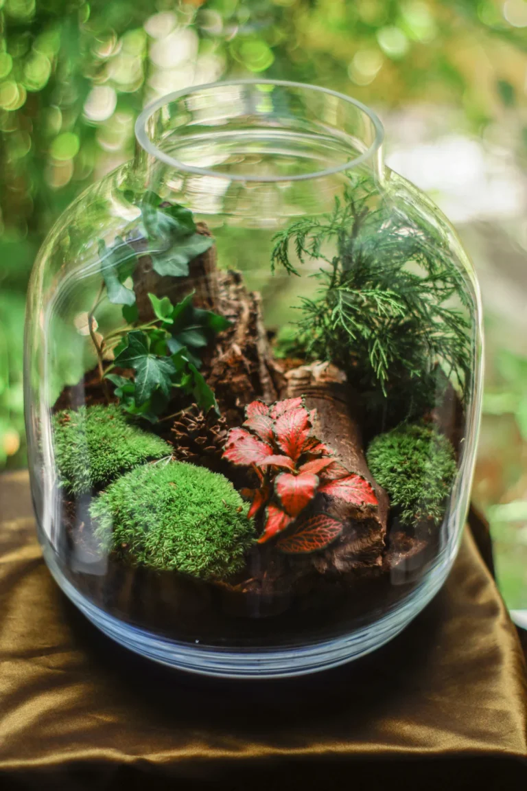 3 'Plants Keep Dying' Myths That Need to Die for Terrariums