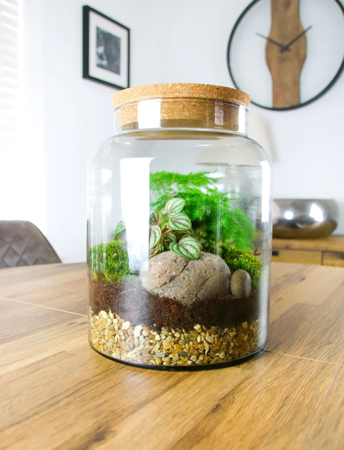 Cooked Terrarium Jar ? Visual Signs You Overheated It by the Window