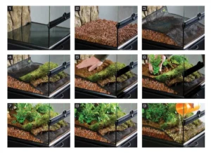 Drainage on a Budget: Cheap LECA & Pebble Alternatives That Work for a Terrarium