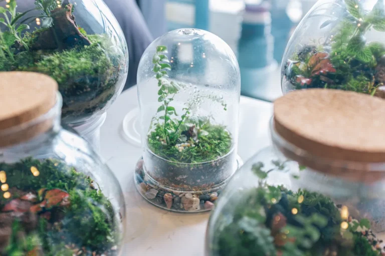 Overheating on a Budget: Free Terrarium Fixes Before You Buy Anything