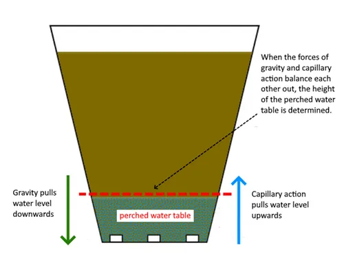perched water table