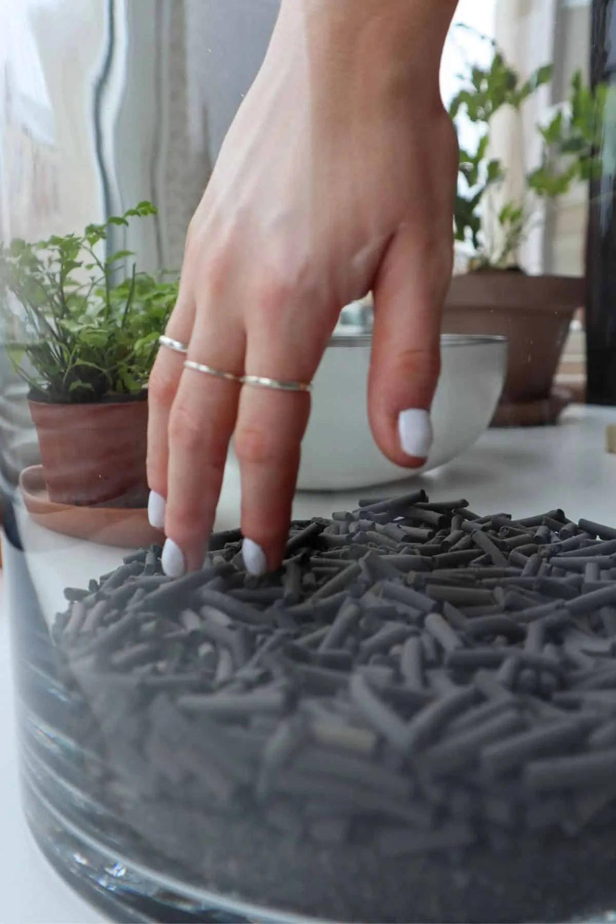 terrarium drainage layer