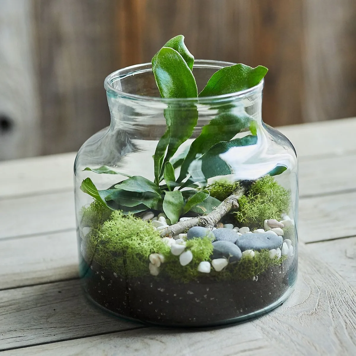 Terrarium overheating